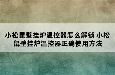 小松鼠壁挂炉温控器怎么解锁 小松鼠壁挂炉温控器正确使用方法